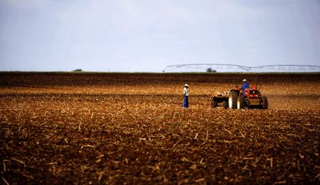 Op-Ed: ‘Stay on the land’, says Zuma. It hasn’t been for lack of trying.
