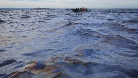 Maritime authority to probe Algoa Bay oil spill amid fears of threat to seabirds
