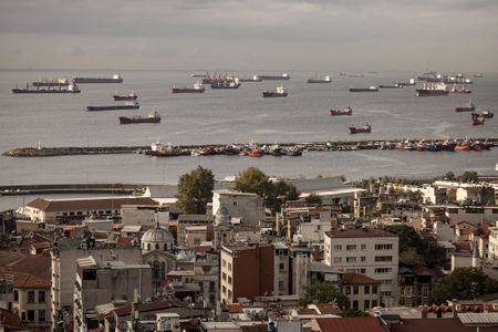 Ukraine Latest: Kyiv says 218 grain vessels now stuck in place