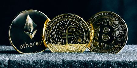 Crypto crunch: Snarling regulators enter the wild financial experiment jungle