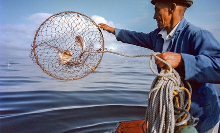 World Oceans Day — blue economy may chart a route to stronger AU-EU ties