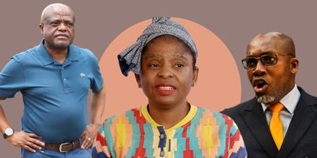 ANC’s punishment for members behaving badly — a golden ticket to Parliament