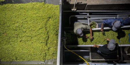 Above-inflation hike in ‘sin tax’ is a blow for the wine industry