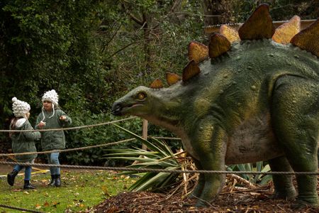 Paleontologists make historic discovery of small armoured dinosaur in southern Argentina