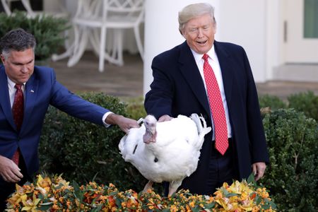 Last week in pictures - 30 November 2019