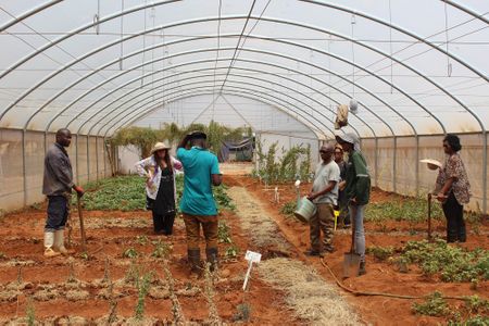 Indigenous crops: Local is not only lekker, it’s also a weapon in the climate crisis battle