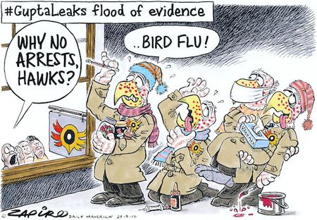 Why no arrests?