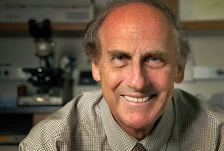 Nobel week: medicine prizewinner dies before announcement; literature speculation heats up