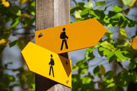 Navigating paradox and uncertainty