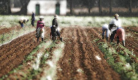 Op-Ed: The land audit – incomplete information and bad policy