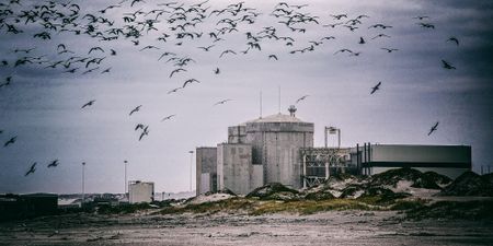 Risk of total shutdown of Eskom’s Koeberg nuclear power station continues to increase