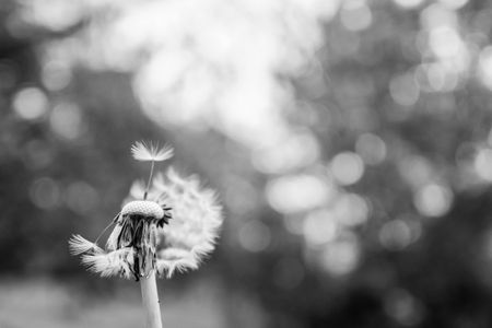 Death – how long are we conscious for and does life really flash before our eyes?