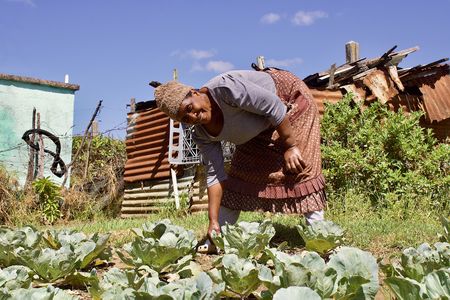One artist sows the seed for Bathurst’s food security 