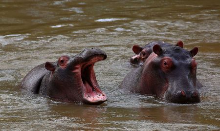 Fate of KZN’s century-old Ndumo wetland park in doubt – despite global treaty ‘protection’