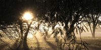 South Africa’s Drylands are being transformed through community-led conservation