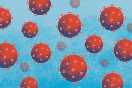 There should be no new trials of hydroxychloroquine for Covid-19, says top research institute