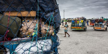 No evidence to show undocumented immigrants ‘contribute massively’ to crime and ‘nothing’ to SA economy