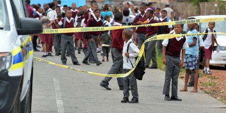 Police portfolio committee asks for urgent bail policy reform for gang crimes