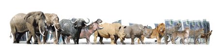 What happens when an ecosystem collapse and State Capture collide?