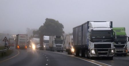 ‘Abolish Zimbabwe Exemption Permit grace period,’ South African truckers demand