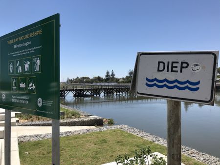 Civic groups and academics raise alarm over Cape Town by-law restricting water quality testing