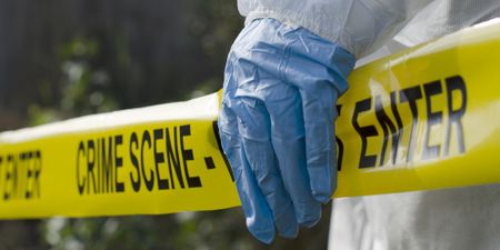 Police investigate double murder after Bosasa liquidator Cloete Murray and son gunned down in Midrand