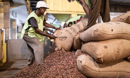 Organised crime infiltrating African, global supply chains to detriment of environment and human rights