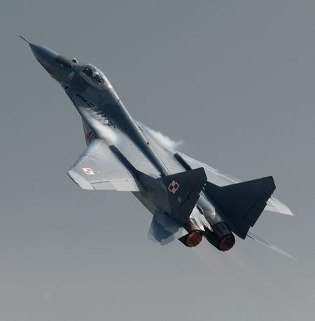 Poland ready to place all its MIG-29 fighter jets at the disposal of US