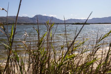 Petition attracts 6,000 signatures demanding City of Cape Town comes clean on water quality