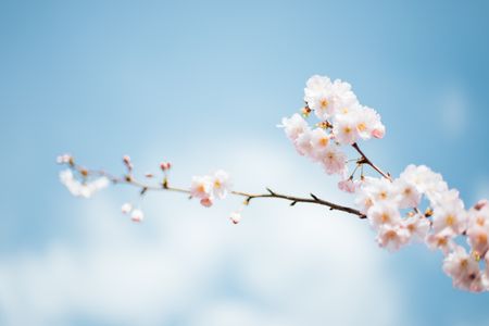 There's something about Spring