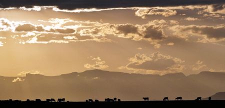 SA gears up for public hearings on land – but logistical challenges are immense