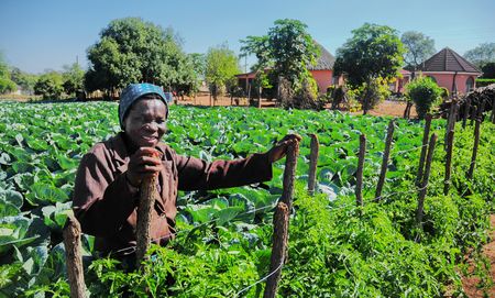 Women-headed households on the frontline of food insecurity
