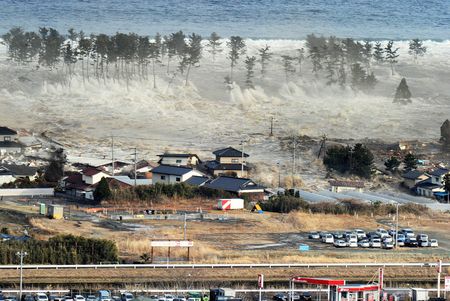Japan, a year after the great 'harbour wave'