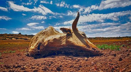It’s crucial that Mboweni confronts the climate crisis 
