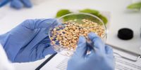 How science and AI can help us build safer, fairer food systems