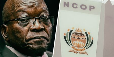 Back to the future — ex-president Jacob Zuma preaches land rights at Expropriation Bill hearings