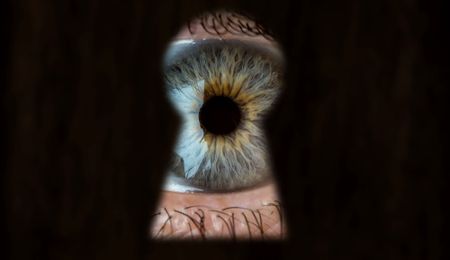 South Africa’s intelligence watchdog is failing civil society – how to restore its credibility