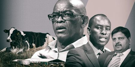 How the Guptas' flogged dodgy dairy equipment to Ace’s Free State