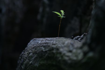 In the face of challenge, there is always hope