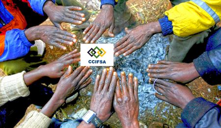 CCIFSA elective conference: Chaos, 'bullying' and 'political agendas'