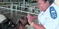 Compassion collides with cruelty — the suffering of animals and the toll on the woman who defends them