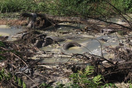 Raising a stink: Government departments blame Durban officials for slow response to sewage crisis