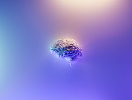 FROM OUR ARCHIVES: More Than Human?