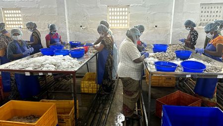 The Whistle-blower — an American’s dream job at a shrimp factory in India turns nightmarish
