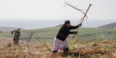 Sowing the seeds of prosperity: Interventions and reforms to foster growth and sustainability of inclusive food value chains