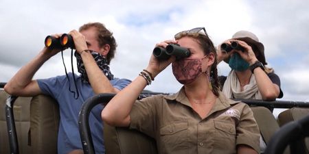Digital conservation: Crypto-currency windfall for wildlife