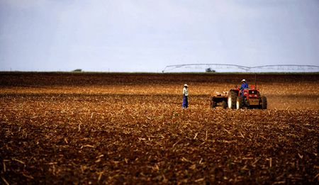 GroundUp: Civil servant goes to prison for stealing farm