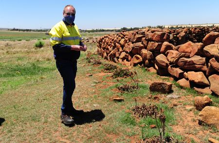 Gold Fields finds it easier to move aloes in SA than chinchillas in Chile