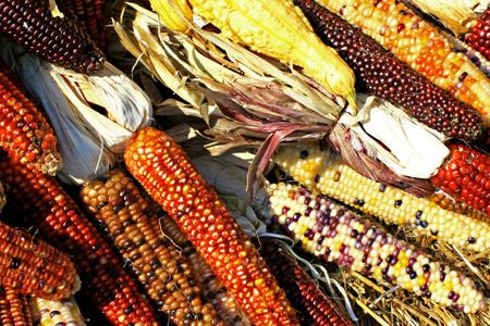 Transnational cartels dictate what’s for breakfast in Kenya