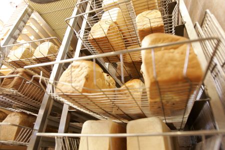 Pioneer learns the hard way that greed and need don’t make good dough